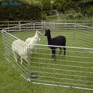 Dairy Stall Feeding System Cow Headlocks Self Locking Front Cattle Fence Panels Cattle Yard thumbnail-5