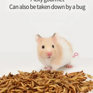 New Kind Fish Feed Made of Eco Fresh Mealworm thumbnail-2