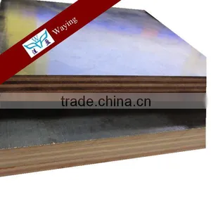 Poplar Main Material Popal Plywood thumbnail-4