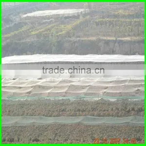 Anti Hail Systems/ Anti Hail Net / Hail Protection Nets for Agriculture thumbnail-5