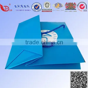 Paper Bag for Gift Packaging,Luxury Paper Bag,Kraft Paper Bag thumbnail-3