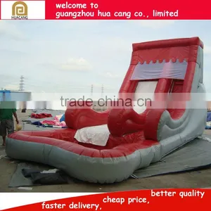 Brighted-color Durable Giant Water Slide Adult Slide for Fun thumbnail-3