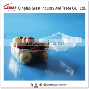 Plastic Fruit Packaging Container Tray Disposable Plastic Blueberry Packaging Container thumbnail-4