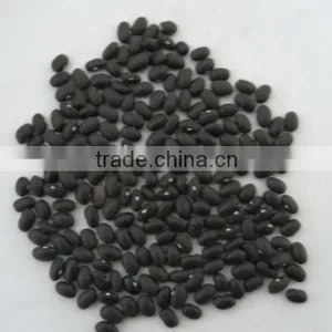 Black Bean thumbnail-1