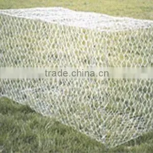 Stone Cages thumbnail-1