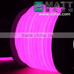 2016 Waterproof IP68 Flexible SMD RGB LED Neon Herz Licht thumbnail-4