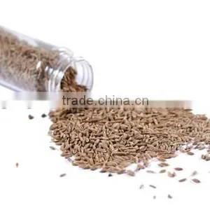 100% Natural And Pure Cummin Essential Oil From India thumbnail-1