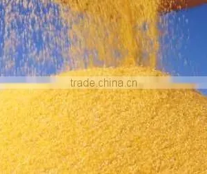 Corn Grits and Corn Meal Used in Extruded Snack Food , Breakfast Cereals, Breweries thumbnail-2