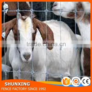 Steel Wire Hot Dipped Galvanizing Type Hinged Joint Cattle Fence thumbnail-1