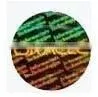 Hologram Label With Variables thumbnail-1