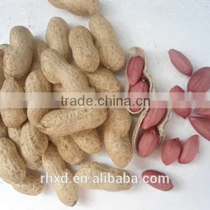 Chinese New Crop High Quality Raw Peanut Shell thumbnail-1