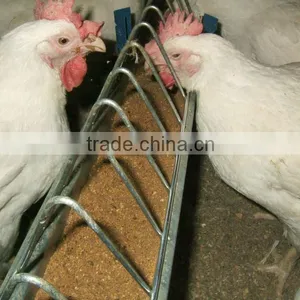 Chain Feeding System for Chicken House thumbnail-1