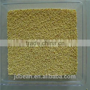 Organic Hulled Glutinous Yellow Broomcorn Millet Hot Sale for Supermarket thumbnail-5