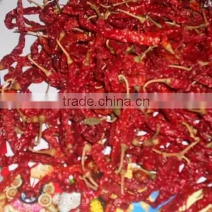 Single Herbs & Spices Product Type and Dried Style Red Chilli. thumbnail-3