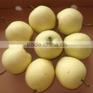 New Crop ya Pear of China Fruit With Best Quality thumbnail-2