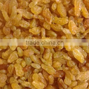 New Crops Natural Seedless Golden Raisins thumbnail-3
