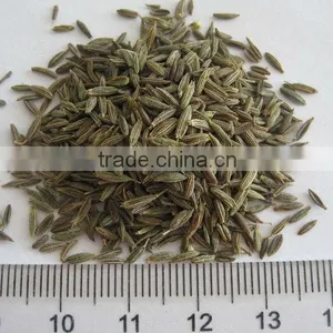 Black Cumin Seed Cumin Seeds thumbnail-1
