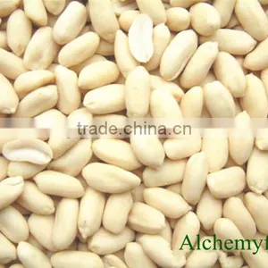 2016 New Crop Blanched Peanut thumbnail-4