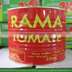 Specification Fresh Tomato, Bulk Tomato Paste Tomato Paste Canned Brix 28-30% thumbnail-4