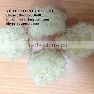 BIRD NEST thumbnail-1