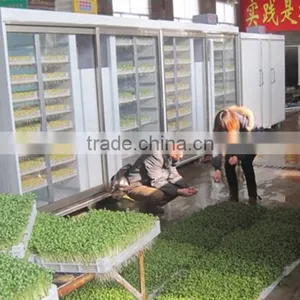 Hydroponic Seeds Germinate Machine/green Fodder Making Barley Breeding Room/hydroponic Bud Seedling Machine thumbnail-2