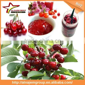 Cherry Fruit Jam Production Line/fruit Jam Making Machine System thumbnail-3