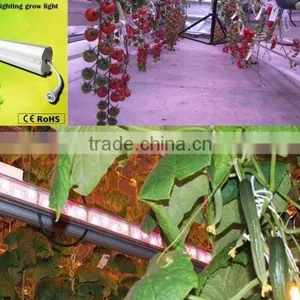 High PPFD Double Side Led Tube Light on Sale thumbnail-4