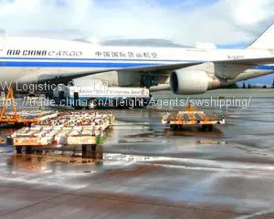 Air Freight Dispatch From HKG/SZX/CAN/PVG/PEK thumbnail-2