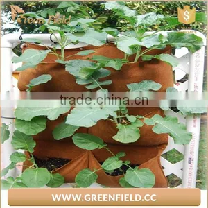 Top Quality Felt Vertical Garden Planter Grow Bag Retail With a Good Tenacity thumbnail-1