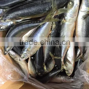 2016 Landing Sea Frozen Mackerel 300-500g thumbnail-6