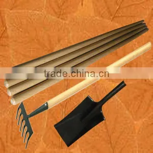 Eucalyptus Mop Handle thumbnail-1