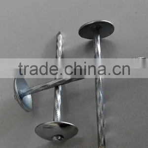 Galvanized Roofing Nails/umbrella Roofing Nails/roofing Nails With Washer thumbnail-6