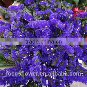 Factory Price Supply Online Shopping Statice Good Quanlity for Anniversary thumbnail-5