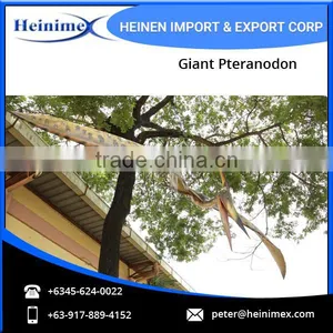 Flying Figure of Giant Pteranodon Dinosaur at Low Rate thumbnail-3