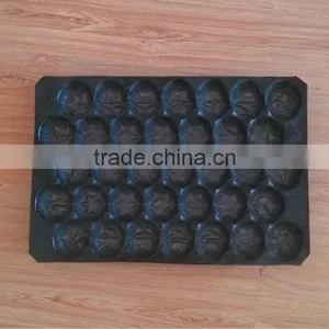 Mexico Food Grade PP Plastic 39*59cm Tomato Packaging Tray thumbnail-6