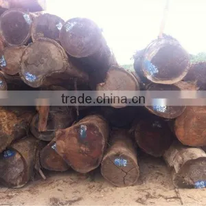 MERANTI(LAUAN) LOGS WITH BEST QUALITY FROM LAOS thumbnail-1