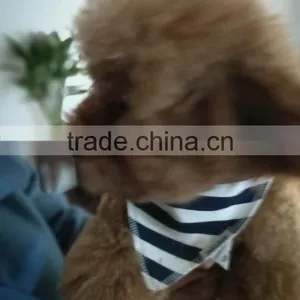 Bandana's Dog Direct From Real Factory in China. No Minimum. 9 Style Ready to Ship in 1 Day. 100% Cotton + Fleece. Great g thumbnail-2