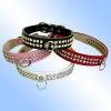 China (Mainland) Pet Collar thumbnail-1