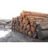 Roko Lumber , Bubinga Lumber , Teak Lumber,tali,azobe,sipon,iroko,sappeli,dossies and Other Lumber Woods and Square and Round Logs thumbnail-1