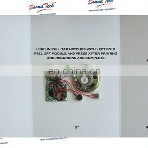Sound Recording Devices for Greeting Cards thumbnail-3