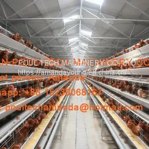 The United Arab Emirates Poultry Farming A Type Battery Layer Cage & Hen Coop & Hot Galvanized Cage in Chicken Coop thumbnail-2