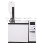 Gas Chromatography Detectors thumbnail-1