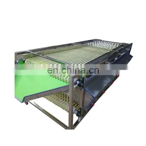 Stainless Steel Fruit Sorting Machine for Sale thumbnail-4