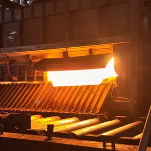 Wuxi Zhongxin Special Steel Co., Ltd. company overview - view 3 thumbnail