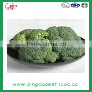 High Quality Chinese Fresh Broccoli thumbnail-3