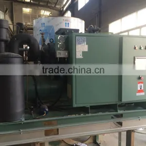 Flake Ice Manufacturing Plant thumbnail-2