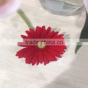 Fresh Cut Flower Of Stem 45-60 cm Gerbera Popular Wholesale thumbnail-3