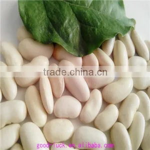 White Kidney Beans (heilongjiang) thumbnail-2