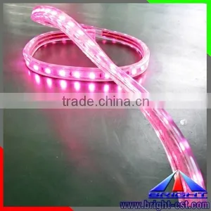 220v LED Strip thumbnail-5