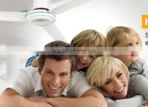 Biggest Air Volume 56 Inch dc 12v Fan thumbnail-1